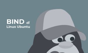 Cara membuat private nameserver dengan BIND di Ubuntu ...